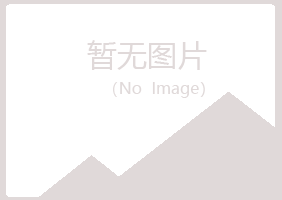 兰山区狼狈邮政有限公司